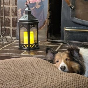 Meet your Posher, Nancy